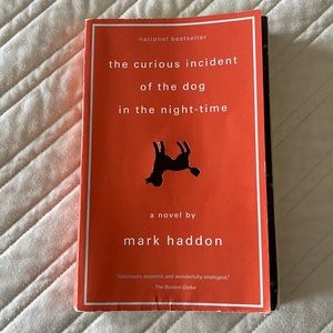 The Curious Incident of the Dog in the Night-Time - Book